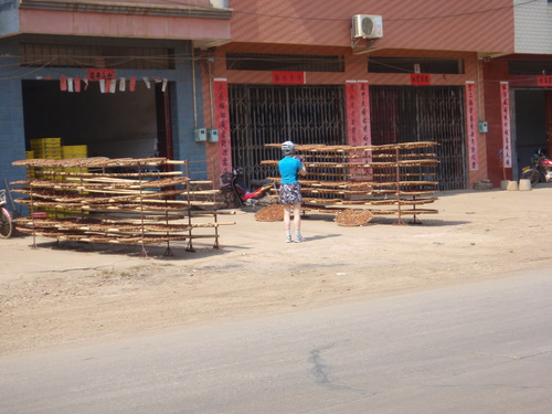 Dennis' picture of Terry at the Persimmon Drying Racks.
